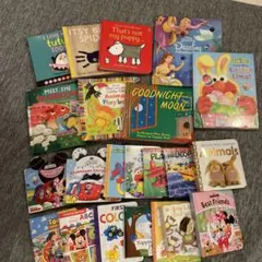 Mi様専用　英語絵本　大人気　22冊セット　まとめ売り(ハードカバー)