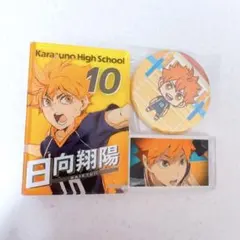 2026年最新】日向翔陽まとめ売りの人気アイテム - メルカリ