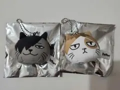 ハイキュー!! 動物マスコットミニビーズ 音駒