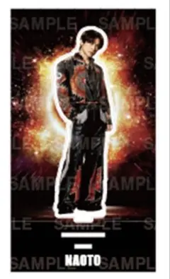 NAOTO アクリルスタンド アクスタ EXILE THE REASON