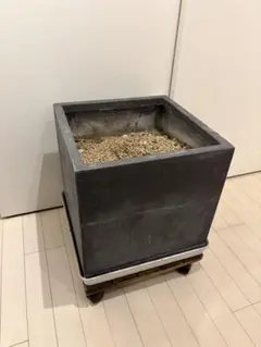 ビオトープ木枠 メダカ飼育容器 ￼120L - メルカリ