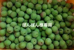 ぽんぽん様専用