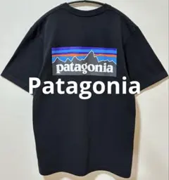 Patagoniaパタゴニア ビッグブランド　ポケットTシャツ　プリントTシャツのサムネイル