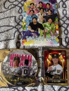 阪神タイガース選手3点セット