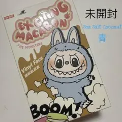 ラブブ　マカロンExciting Macaron シーソルトココナッツ　未開封