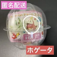 ポケモン　チャーム　コレクション　ホゲータ　ガチャ　ガスト　30周年