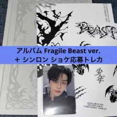 ALD1 シンロン ショケ トレカ Fragile Beast ver セット