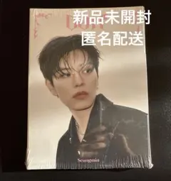 【新品未開封】StrayKids スキズ Do it アコーディオン スンミン