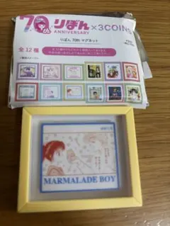 3COINSりぼんコラボ　マグネット　マーマレードボーイ