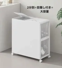 ✳︎ゴミ箱✳︎ゴミ袋ホルダー 分別 45Lふた付き ゴミ目隠しキャスター付き