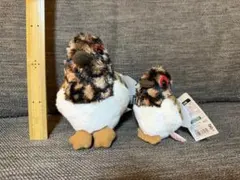 ty 雷鳥ぬいぐるみ 夏毛ヒナ 6きょうだい - メルカリ