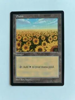 MTG APACランド 平地 ひまわり 6枚セット MTG APACランド 平地 ひまわり 6枚セット Amazon.co.jp: MTG