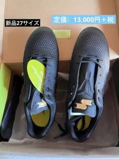 Item thumbnail for item 52b0acff-12a5-480c-a9ba-e62946036925