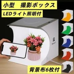 Item thumbnail for item 13557d3c-2f21-4326-8c5d-205c7f769c59