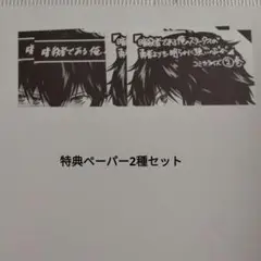 暗殺者である俺のステータスが勇者より明かに強いのだが　ペーパー　2種4枚