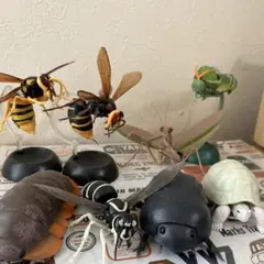 生き物図鑑　まとめ売り