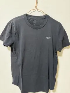 Hollister ダークグレー Tシャツ