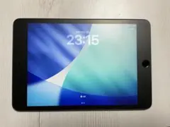 2026年最新】ipad mini 5 256gb simフリーの人気アイテム - メルカリ