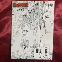dr.stone 2L版 BIGブロマイド 原画 公式正規品 石神千空 千空I