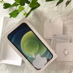 iPhone12 空き箱　Green 64GB　アップル　シール　SIMピン