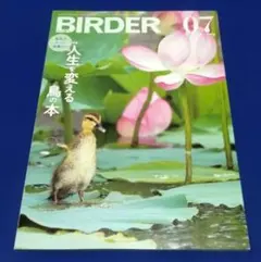 BIRDER 2024年7月号 特集 人生を変える鳥の本