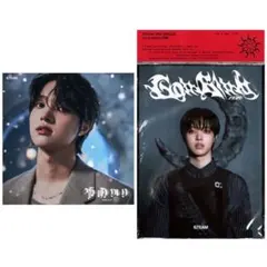 &TEAM 雪明かり 月狼 EJ ウィジュ ソロジャケ CD 本体 2枚セット