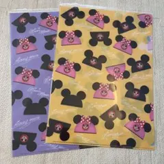 東京ディズニーリゾート　A4クリアファイル２枚セット
