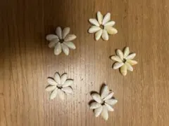 【リリィ様専用】シェルパーツ　フラワー　10個セット
