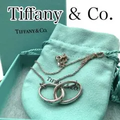 Tiffany & Co. ホースシュー ネックレス シルバー925 刻印あり - メルカリ