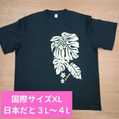 モンステラプリント Tシャツ