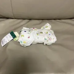 Item thumbnail for item ac09ea3f-8e03-43eb-a675-6e65608b58d9