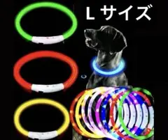 光る首輪 LED USB　充電 犬 ドッグ 夜 散歩 70cm 虹色 レインボー