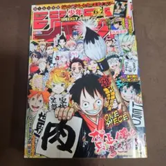 週刊少年ジャンプ 2019年6・7合併号 ONE PIECE巻頭カラー - メルカリ
