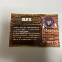 名探偵コナン　プロフィール缶バッジ【灰原哀】