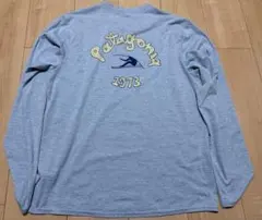 パタゴニア キャプリーンクールデイリー　サイズS ロンT 長袖　グラフィック