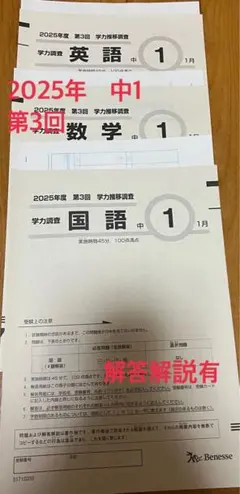 2026年最新】ベネッセ 学力推移 中1の人気アイテム - メルカリ