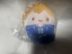 ハイキュー ぬいくじ D賞 日向