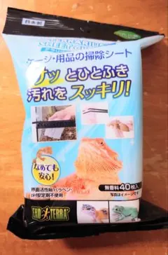 Item thumbnail for item 8cadac6c-f71f-4908-b1fe-3d4eb96d2e8a