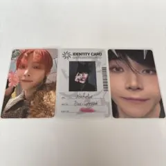 &TEAM トレカ NICHOLAS ニコラス 雪明かり 月狼