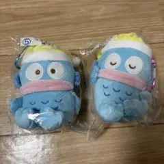 ハンギョドン　くじ　マスコット