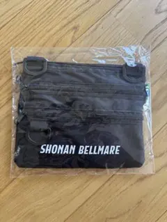 Item thumbnail for item a61090a4-949e-40bb-b941-b92b148be1fb