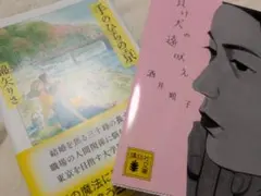 2冊セット 手のひらの京 綿矢りさ+犬の遠吠え 酒井順子