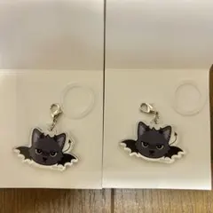 平手友梨奈 無表情な表情 POPUP キーホルダー 二種セット - メルカリ