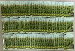 MTG マジックザギャザリング 兄弟戦争 ジャンプスタート ブースター 計100