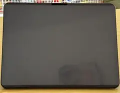iPad Pro M4 13インチ セルラー 256GB +おまけ