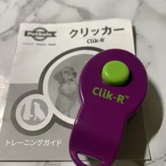 Item thumbnail for item 9f3f471c-be4a-4d14-86d2-fcecd64a39a4