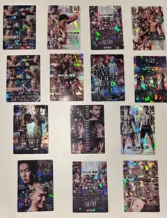 RIZIN ホログラムトレーディングカード 16枚セット