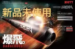 Item thumbnail for item 424101ef-4ca7-4830-828f-ade864e23212