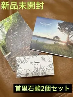 Item thumbnail for item 0b722c20-40ca-4469-9823-37f8cc392785