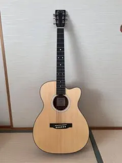 martin&co マーティン アコースティックギター エレアコ - メルカリ